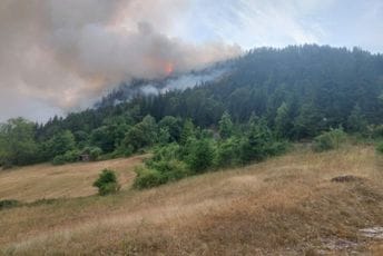 (FOTO/VIDEO) Bukti požar i u bjelopoljskoj opštini: Gori četinarska šuma, vatrogasci danima na terenu