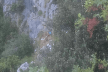 Akcija spašavanja u Kotoru trajala 14 sati: Belgijanca evakuisali helikopterom, vatrogasci apeluju da se ovakve akcije naplaćuju