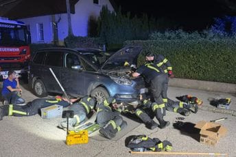 (FOTO) Nasvakidašnja spasilačka akcija: Mače sa Balkana odvezli pod haubom u Austriju