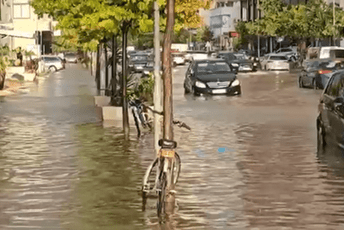 U Albaniji - poplave: Ulice bile pod vodom, vjetar čupao drveće