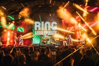 (FOTO/VIDEO) Nezaboravan provod druge večeri Lake Festa: Nastupili Nele Karajlić, RING ABBA tribure bend i energični ska i punk bendovi