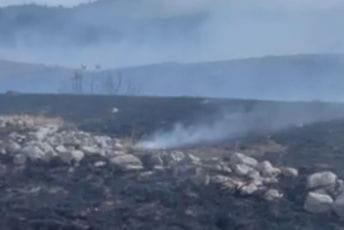 Gori i u nikšićkoj opštini: Ugrožene bile i kuće, gašenje otežava vjetar