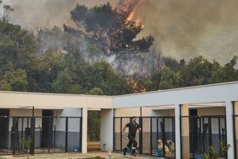 Bar: Spašeni svi psi iz azila u Kufinu Bar: Spašeni svi psi iz azila u Kufinu