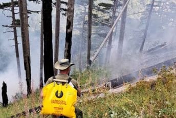 NPCG apelovali: Ne ložite vatru u šumskim područjima