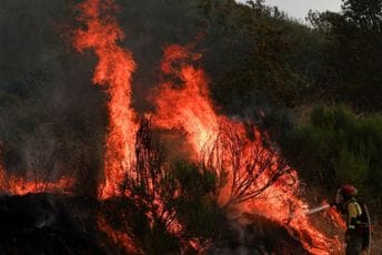 Požari širom Evrope: Evakuisano grčko ostrvo i hiljade ljudi u Španiji i Portugalu