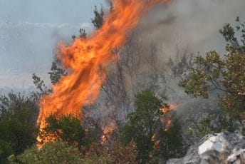 Šavnički vatrogasci pomažu u gašenju požara u Podgorici