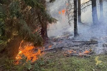 Bijelo Polje: Vatrogasci gasili požare, hvatali zmije, dopremali vodu stanovništvu...