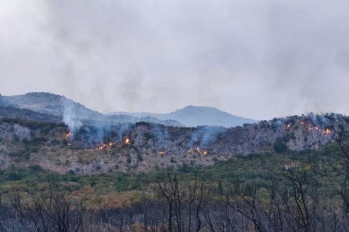 Podgorica: Bukti požar u Piperima, vatrenu stihiju gase i avioni MUP-a