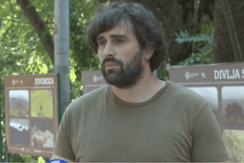Vujisić: Biće potrebne godine i decenije za obnovu uništenih šuma