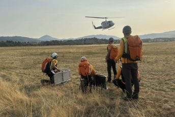 Spasilačka akcija na Durmitoru: Tokom planinarenja povrijeđena državljanka Češke