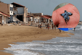 Ispražnjene španske plaže zbog "plavog zmaja", gradonačelnik upozorio da i dodir može biti opasan