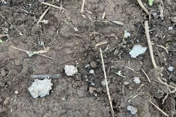 Ukrajinski dron se srušio u Estoniji
