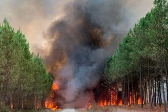Francuska: Starica priznala da je podmetnula 11 požara, bila 'naoružana' arsenalom upaljača