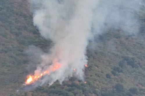 Požar iznad Starog Bara: Gori na nepristupačnom terenu