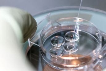 Privatni IVF centri: Cijene vantjelesne oplodnje neodržive i daleko ispod minimalne granice poslovne isplativosti