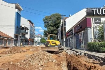 Građani i ekološki aktivisti osudili sječu planiranu sječu košćele u Ulici slobode: Pozivaju nadležne iz gradske uprave da zaustave ekocid u centru grada