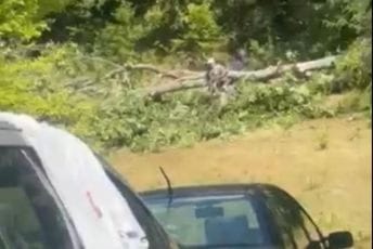 CGES nastavio gradnju dalekovoda Lastva – Čevo – Pljevlja u zoni sela Đurđevića Tara; Ostojić: Tu života više nema