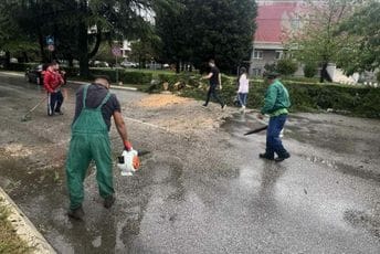 (FOTO) Podgorica: Radnici Zelenila uklonili stablo, Bulevar revolucije prohodan