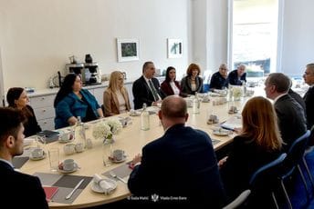 Ivanović u Irskoj: Jačanje podrške evropskom putu Crne Gore