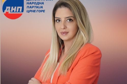 I Todorović ima odgovor za Dragaša: Potrebno mnogo više znanja, rada i političke težine da bi od predsjednika DNP-a dobio makar zapetu