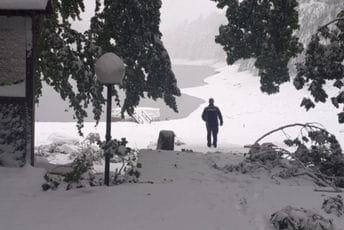Biogradska gora zatvorena za posjete