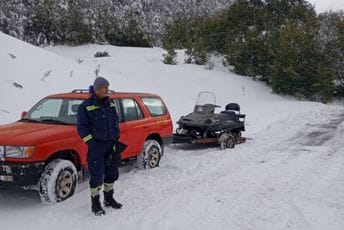 Spasioci stigli do stočara: Dobro su, neće da idu sa katuna, dva psa uginula