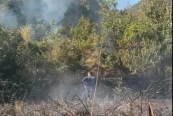 Cetinje: Buknuo požar u Meterizima