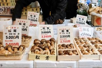 Na pijaci u Japanu osam pečuraka prodato za skoro 5.000 eura