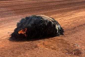 (FOTO) Gorući objekat pronađen u australijskoj pustinji, vjerovatno je pao iz svemira