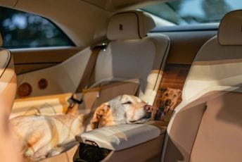 (FOTO) Rolls-Royce napravio auto u čast psa
