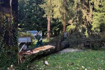 (FOTO) Jako nevrijeme pogodilo Cetinje: Vjetar obarao drveće, oštećeno i jedno vozilo