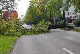 (VIDEO) Podgorica: Na Bulevaru Sv. Petra Cetinjskog palo stablo, saobraćaj obustavljen u traci od Bloka prema centru