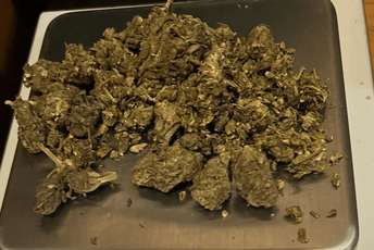 U Ulcinju uhapšeno operativno interesantno lice, pregledom vozila pronađena marihuana