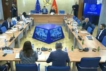 Despotović: Ministarstvo angažovalo zdravstvenog tehničara; Vujović: Dokumentaciju je zaprimila pravnica