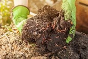 Od otpada do bogatstva: Kompost kao dar koji priroda pamti