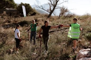 Kampanja „Boranka“: Na Golom brdu kod Sutomora zasađeno više od 10.000 sadnica crnog bora