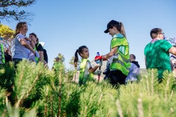 Kompanija One i Boranka: Najveće korporativno pošumljavanje je počelo – 30 hiljada sadnica za naših 30 godina