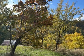 Danas sunčano, do 22 stepena