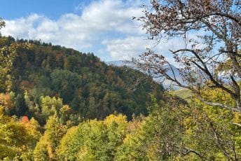 Danas sunčano, do 21 stepen