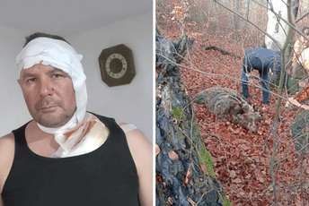 Lovac iz BiH preživio napad medvjedice: "Osjetio sam kako me kandžama hvata za glavu"