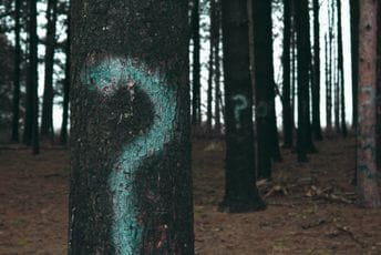 Ko je kriv? Ko je kriv?