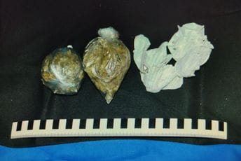 Pljevljak uhapšen zbog ulične prodaje droge, u kolima mu pronađena marihuana