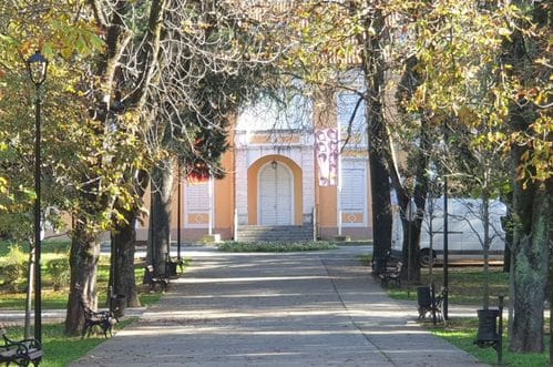 Ne traže brisanje riječi "nasilna" iz formulacije o aneksiji: PES predložio nove izmjene Zakona o statusu potomaka dinastije Petrović