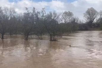 Poplave i u Sjevernoj Makedoniji: Pod vodom oko 50 kuća
