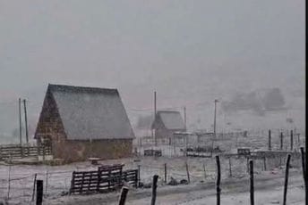 Snijeg jutros prekrio sjever Crne Gore: Najviše ga je na Žabljaku, a evo koliko je palo u drugim gradovima