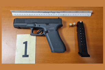 Racije na više lokacija na sjeveru države: Kontolisani pripadnici kriminalnih grupa, oduzeta droga i pištolj