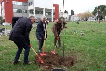 KCCG kreće u zelenu tranziciju: Priključio se nacionalnoj kampanji "Čuvaj da te čuva”, za početak simbolično zasađena lipa KCCG kreće u zelenu tranziciju: Priključio se nacionalnoj kampanji "Čuvaj da te čuva”, za početak simbolično zasađena lipa