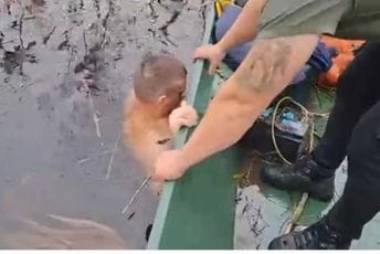 Juče u Zeti: Nadzornik Službe zaštite izronio pušku korišćenu u krivolovu u NP Skadarsko jezero, osumnjičeni pobjegao