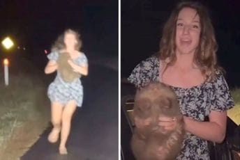 Influenserka zgrabila bebu vombata, majka trčala za njom, uhapšena je