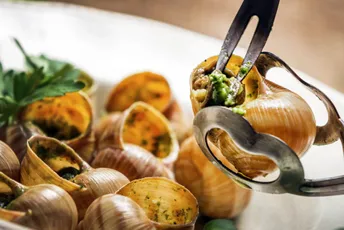 Francuska: Farmeru ukrali 100.000 dolara vrijedne puževe, ponijeli i zaleđene